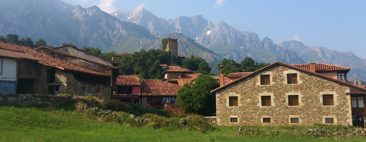 house view