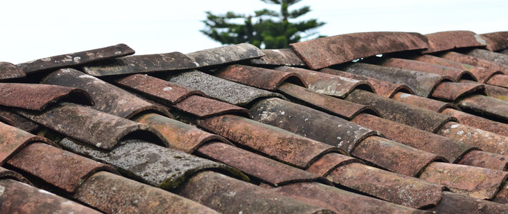 Telltale Signs You Need to Hire a Professional Roofing Contractor