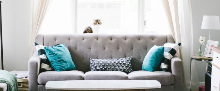 How to Improve the Air Quality in Your Home