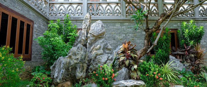 Insightful Tips to Start a Small Garden in Your Backyard